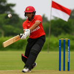 Generate a high-quality, relevant image prompt for an article about: Cricket in Indonesia: Stunning